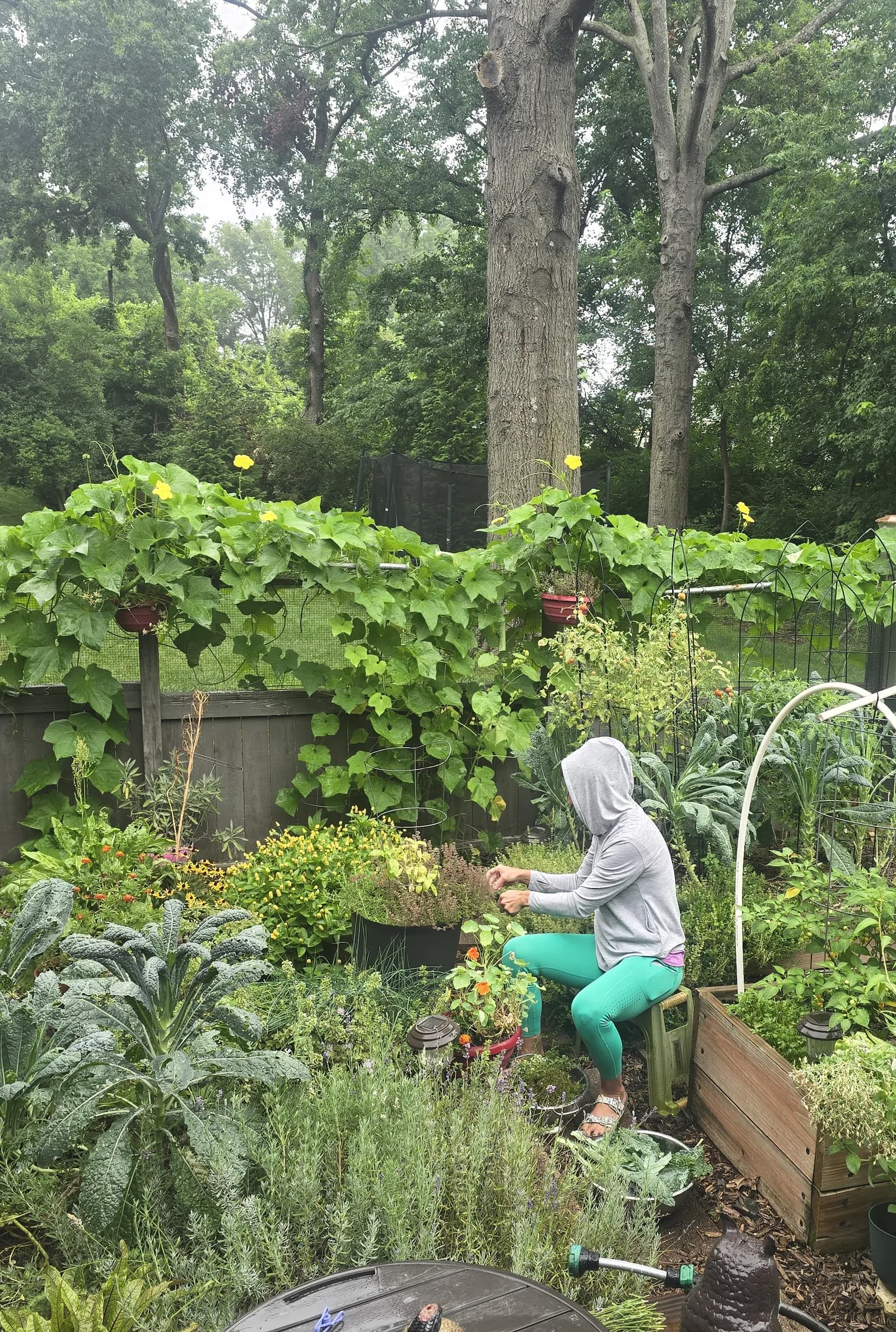 An adult tending a lush backyard vegetable and flower garden.
